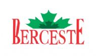 Berceste Turistik Dinlenme Tesisleri 
